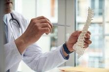 Model of a Human Spine